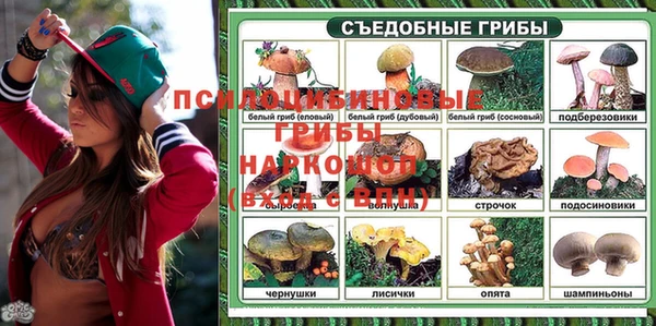 ECSTASY Заволжск