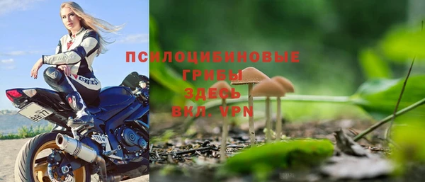 дмт Алзамай