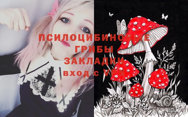apvp Алексин
