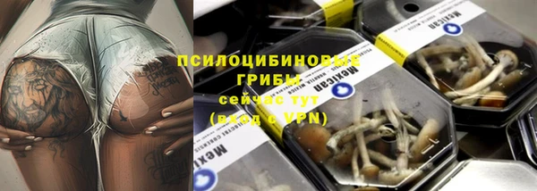 дмт Алзамай