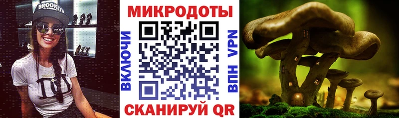 Псилоцибиновые грибы Psilocybine cubensis  где продают   Арамиль 